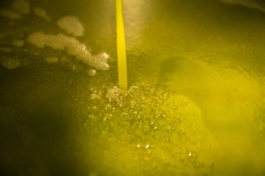 Zeytinyağı modern bir çiftlikte işlenmesi.