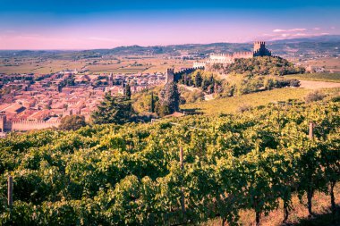 Soave (İtalya) görünümünü ve onun ünlü Ortaçağ Kalesi