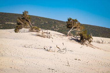 Le Dune beach, Porto Pino, Sardunya, İtalya.
