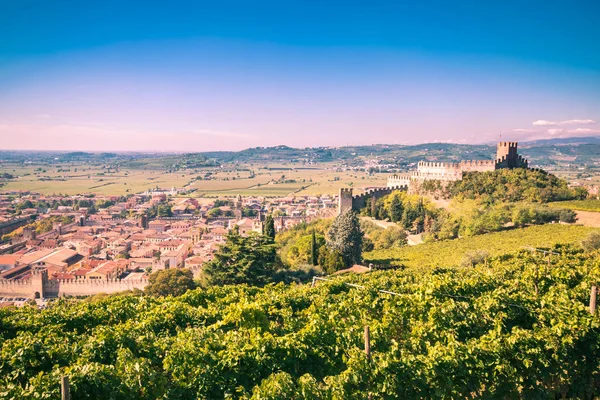 Pohled na Soave (Itálie) a jeho známý středověký hrad — Stock fotografie