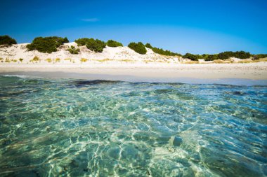 Transparent sea and crystal clear water of Sardinia. clipart