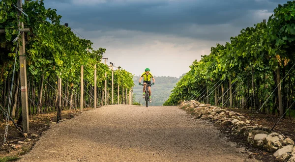 Ciclista pedaleando por las colinas . — Foto de Stock