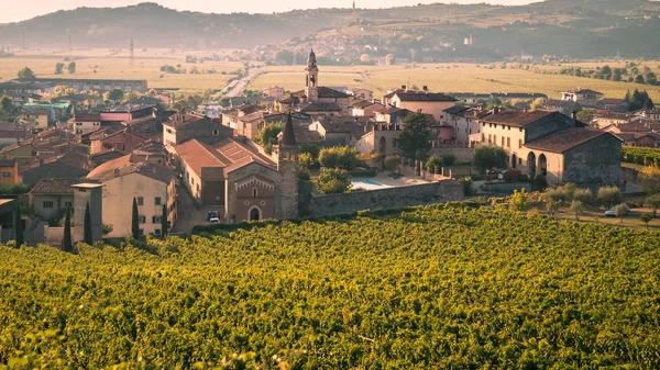 Weergave van Soave (Italië), omringd door wijngaarden. — Stockfoto