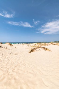 Le Dune beach, Porto Pino, Sardunya, İtalya.