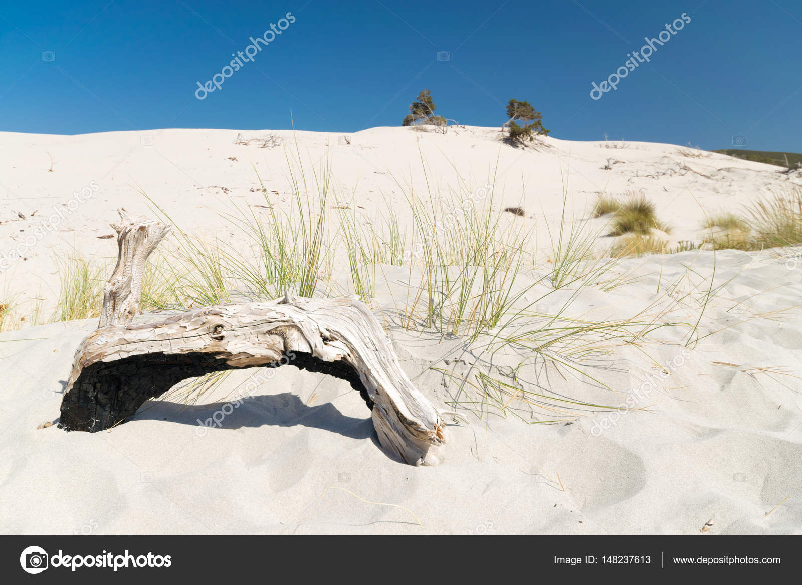 La Spiaggia Di Le Dune Porto Pino Sardegna Italia Foto