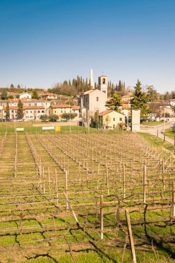 Üzüm bağları ile çevrili Custoza görünümünü.