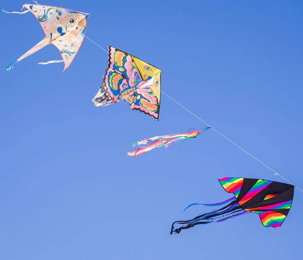 Colored kites fly in a row in the blue sky hanging on one strand