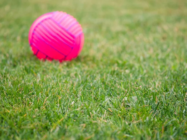 Green lawn with blurred pink ball in the background. — Stock Photo, Image
