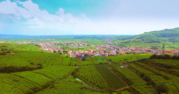 De wijngaarden op de Italiaanse heuvels. — Stockfoto
