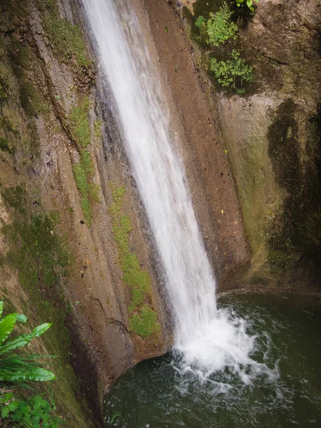 Cascade dans la forêt . — Photo