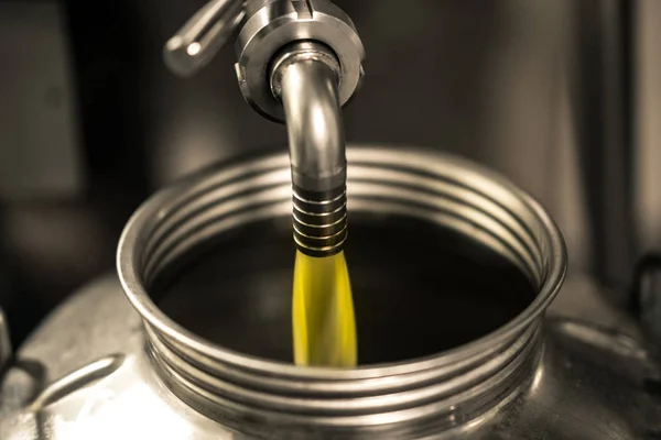 Processing of olive oil in a modern farm.