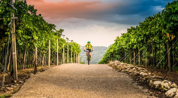 Ciclista pedaleando por las colinas . — Foto de Stock