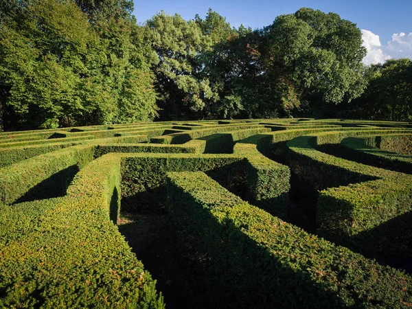 Krzewy zielony labirynt, urządzanie terenów — Zdjęcie stockowe