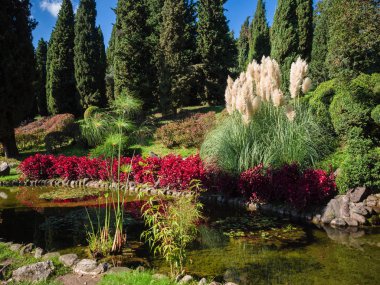 Güzel bahçesi olan küçük gölet.