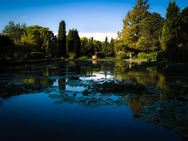 Stor damm med näckrosor i en italiensk offentlig park. — Stockfoto