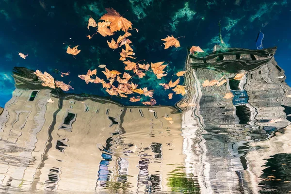 Feuilles sèches flottant sur l'eau reflétant un vieux château scaligero — Photo