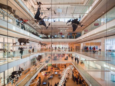 Muse Trento Bilimler müzesidir. İç ben