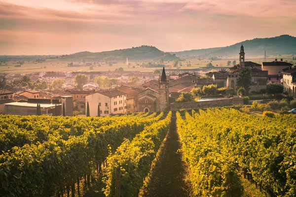 View of Soave (Italy) surrounded by vineyards. — Stock Photo, Image