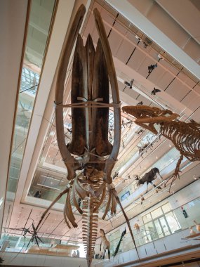 Archit tarafından tasarlanan Trento Bilim Müzesi 