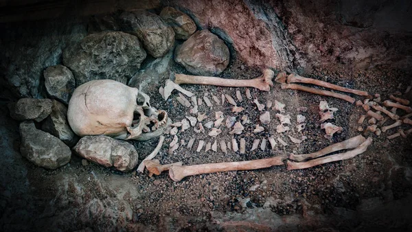 Skeleton of a primitive man inside a cave. — Stock Photo, Image