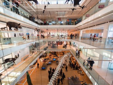 Archit tarafından tasarlanan Trento Bilim Müzesi 