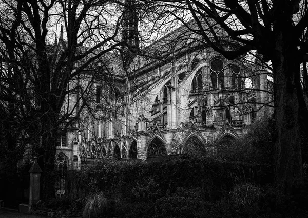 Rear view of the Notre-Dame de Paris cathedral among the bare br — Stock Photo, Image