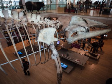 Archit tarafından tasarlanan Trento Bilim Müzesi 