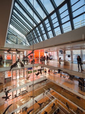 Muse Trento Bilimler müzesidir. İç ben