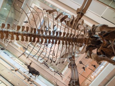 Archit tarafından tasarlanan Trento Bilim Müzesi 