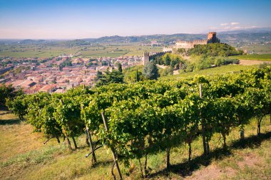Soave (İtalya) görünümünü ve onun ünlü Ortaçağ Kalesi