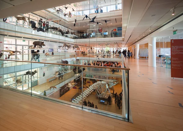 Muse Trento Bilimler müzesidir. İç ben