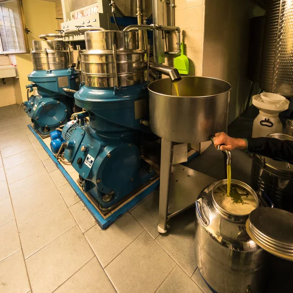 Processamento de azeite em uma fazenda moderna . — Fotografia de Stock
