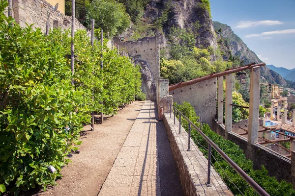 Limone sul Garda, İtalya için eski limon ev. — Stok fotoğraf