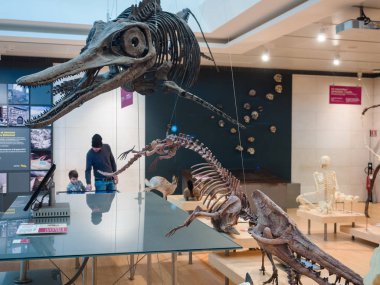 Trento Bilim Müzesi 