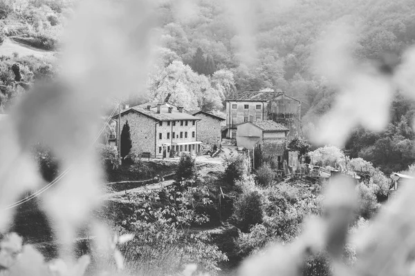 Kleines Dorf inmitten der grünen italienischen Hügel. — Stockfoto