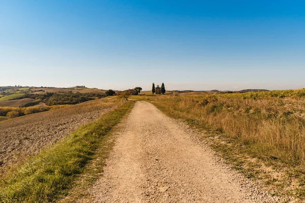 La vista del paesaggio collinare in Toscana . — Foto Stock