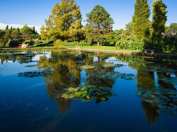 이탈리아 공공 공원에 물 백합 큰 연못. — 스톡 사진