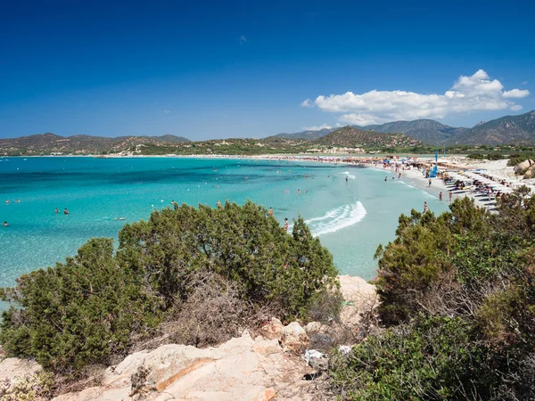 En af Sardiniens vidunderlige og uforurenede strande . - Stock-foto