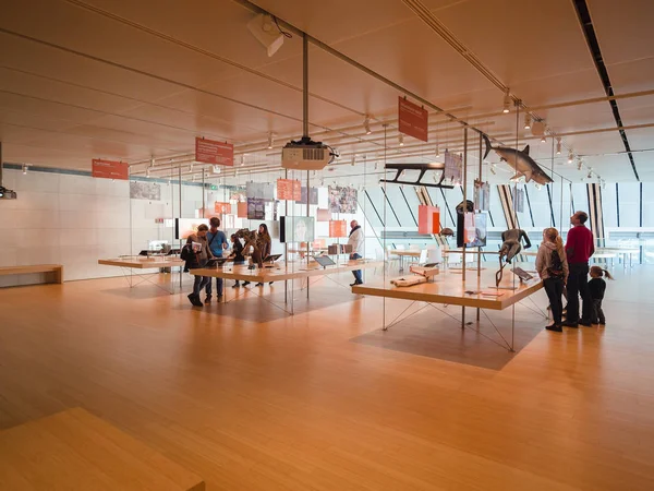 De Muse is het Museum van de wetenschappen van Trento. Het interieur ik — Stockfoto