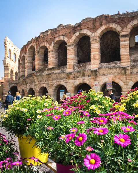 Flowers for sale and in the background the arena of Verona. — Stock Photo, Image