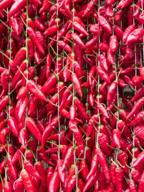 Texture formed by red calabrian peppers hanging to dry in the sun. clipart