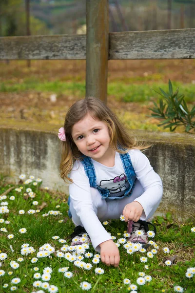 Verona Italië Maart 2015 Kind Verzamelt Madeliefjes Een Buitenspeeltuin — Stockfoto