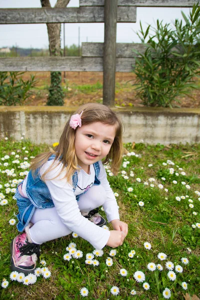 Verona Italië Maart 2015 Kind Verzamelt Madeliefjes Een Buitenspeeltuin — Stockfoto