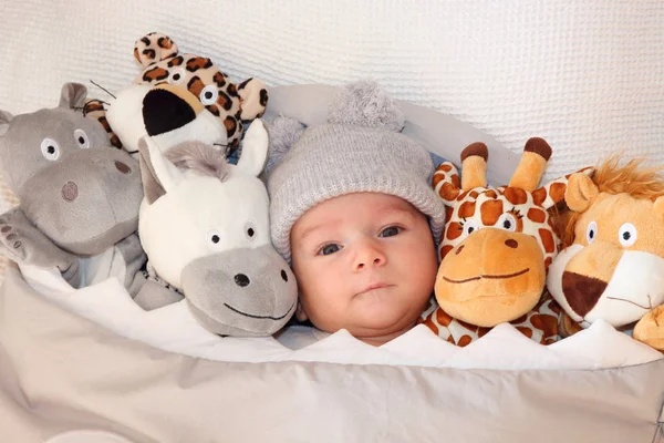 Söt liten baby som ligger på sängen omgiven av söt safari uppstoppade djur — Stockfoto