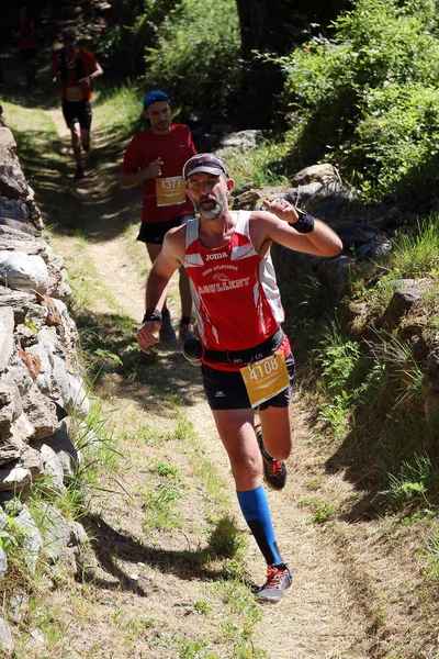 Benasque, Espanha - 24 de julho de 2016: Os corredores de trilhas esforçam-se muito para chegar à linha de chegada durante uma das cinco corridas do Gran Trail Aneto Posets (GTAP) de 2016 — Fotografia de Stock