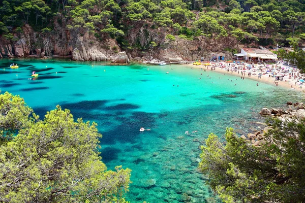 Crystal wateren dicht bij het prachtige strand van Aiguablava in Begur dorp, Middellandse Zee, Catalonië, Spanje — Stockfoto