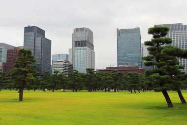 İmparatorluk Sarayı girişinde, Tokyo, Japonya yakın şaşırtıcı Bahçe şehir manzarası ana görünümü