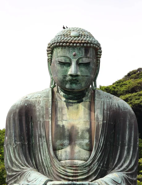 Vista principal do Daibutsu, a famosa grande estátua de bronze buddha colocada no Templo Kotokuin em Kamakura, Japão — Fotografia de Stock