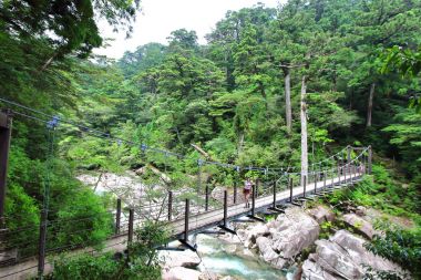 Yakusugiland park, Yakushima Adası doğal eğlence ormanlar, Japonya nehre geçerken birkaç köprüden ana görünümü.