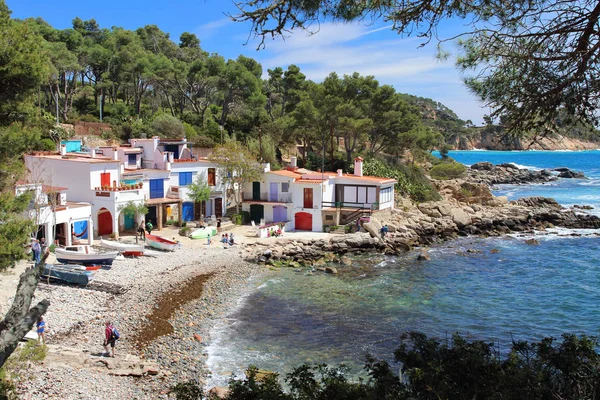 Cala s'Alguer, geleneksel balıkçı beyaz renkli kapı ve pencere, Palamos, Costa Brava, İspanya binalarla çevrili güzel bir plaj ana görünümü.